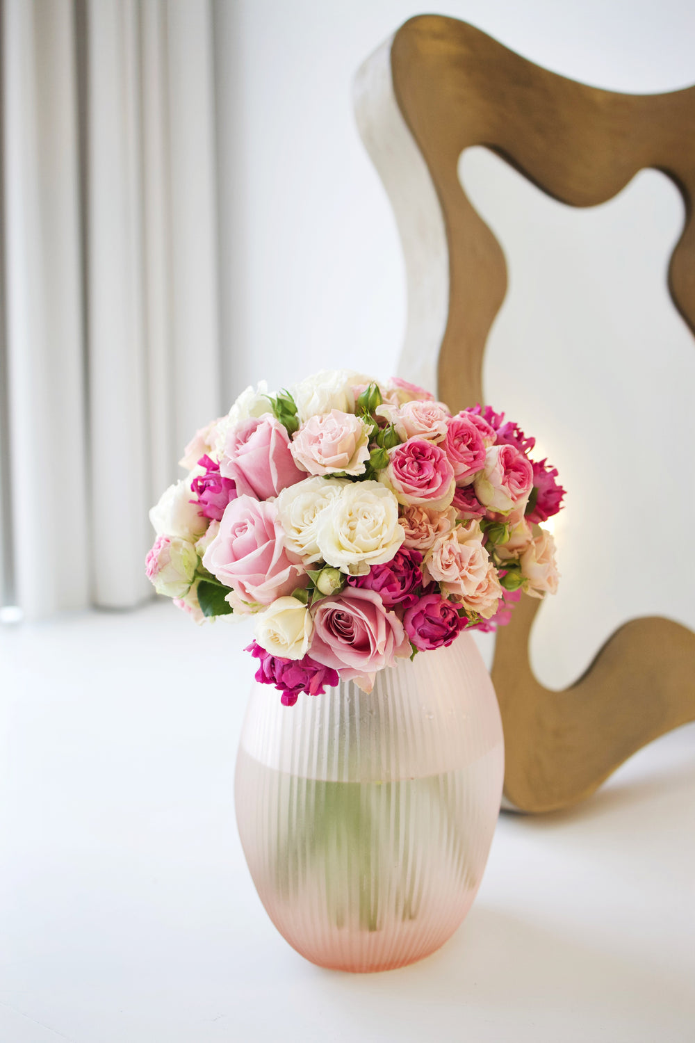 Alles over de pioenroos