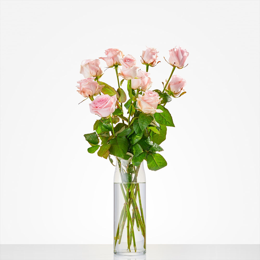 Roze rozen (vanaf 7 stuks)