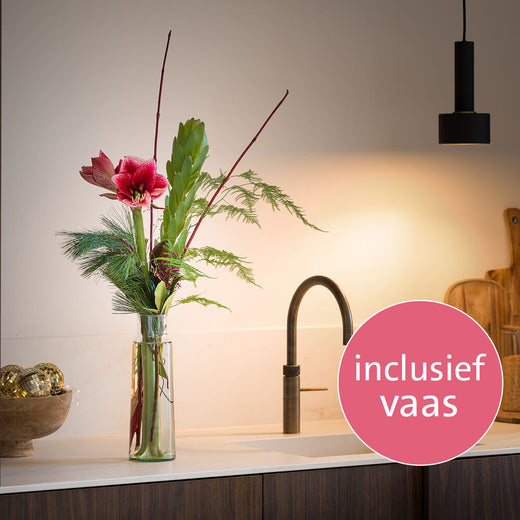 Vaasverrassing amaryllis