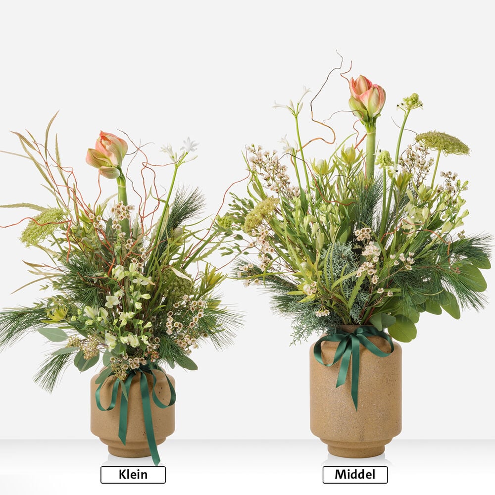 December splendor bouquet